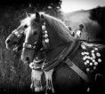 /album/fotogaleria/jjj-jpg1/